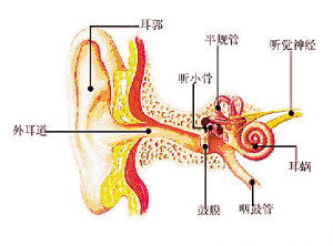耳鸣的治疗